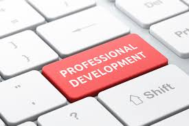 Professional Development 